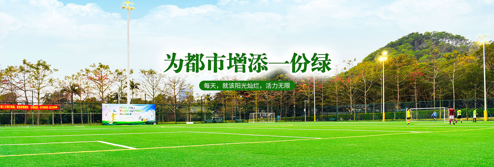 �����ƺ����