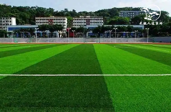 Ӧ�ð���չʾ