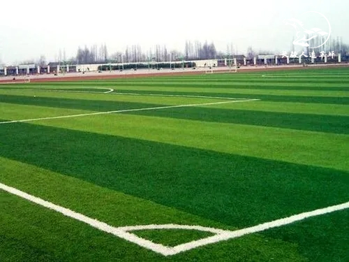 Ӧ�ð���չʾ