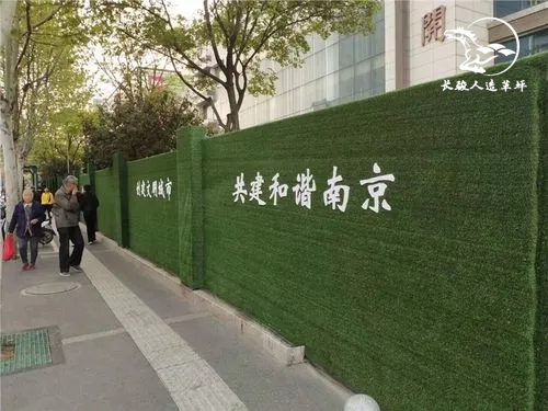 Ӧ�ð���չʾ