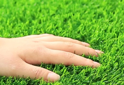 �˹���ƺ��ά������������