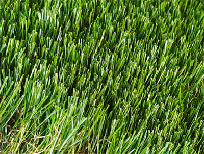 �������������ƺ�����ƺ������