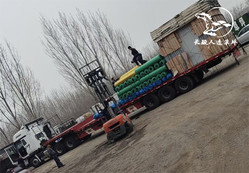 ���������ƺ����