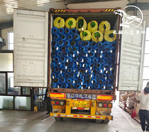 ���������ƺ����