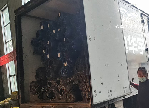 ���������ƺ����