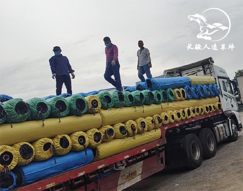 ���������ƺ����