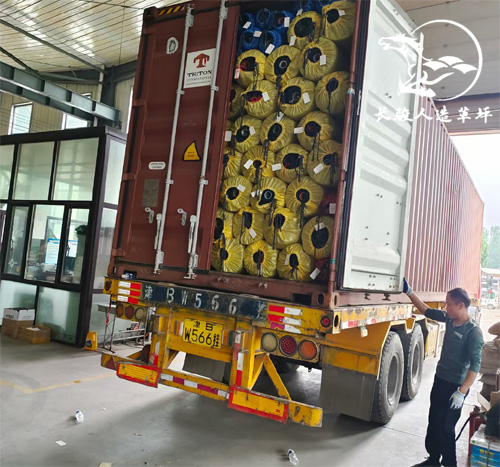 ���������ƺ����