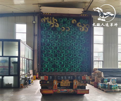 ���������ƺ����