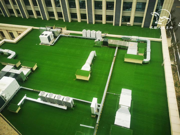 ¥����ƺ��Ŀ